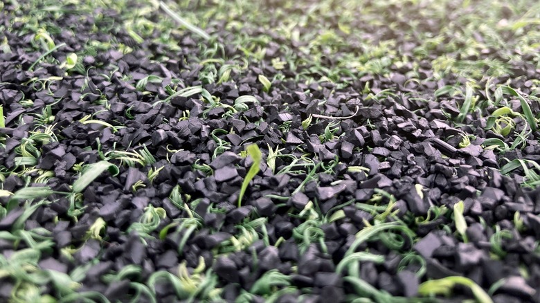 Artificial turf infill 