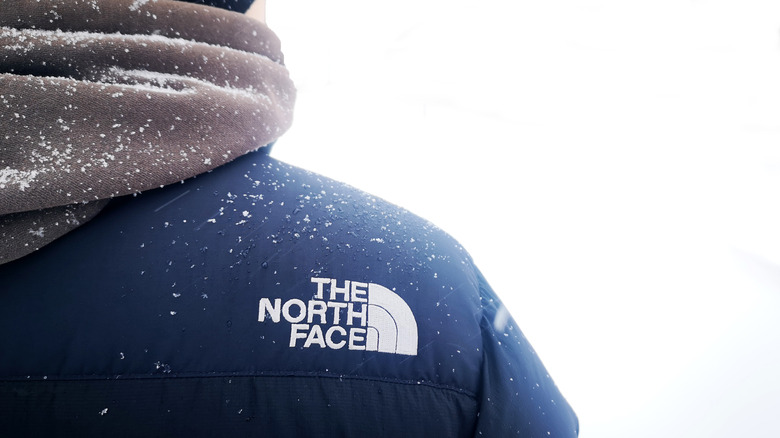 Back of person wearing The North Face jacket in blizzard 