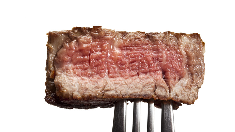 Piece of grilled red meat 