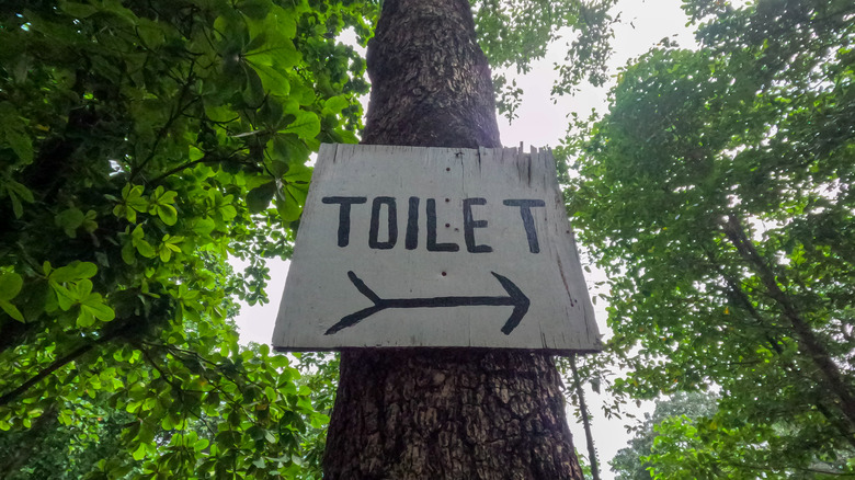 Wooden sign on tree with arrow pointing to toilet