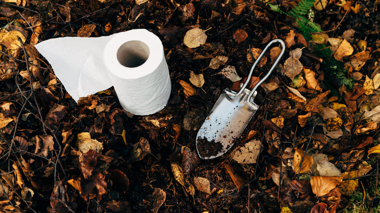 Toilet paper and trowel on dirt and leaves