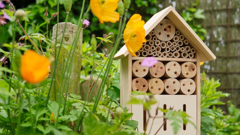 DIY wooden bee house