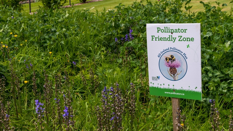 Pollinator-friendly zone sign