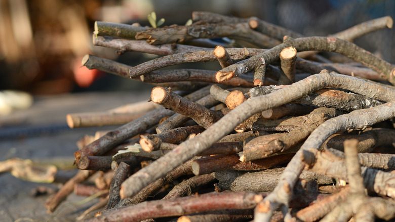 Small woodpile