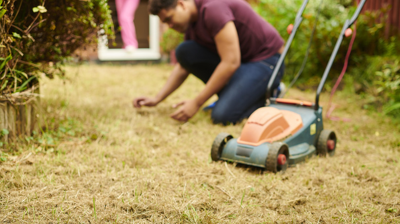 Person crouching over dying lawn in need of help