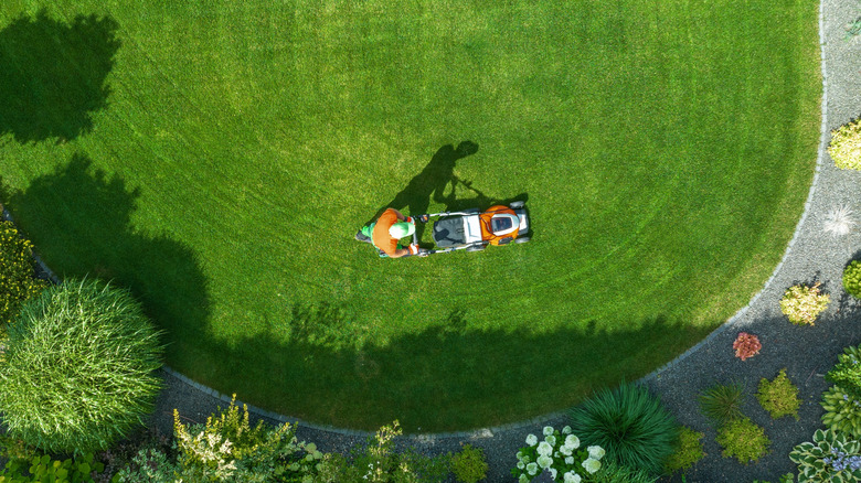 Person mowing their lawn