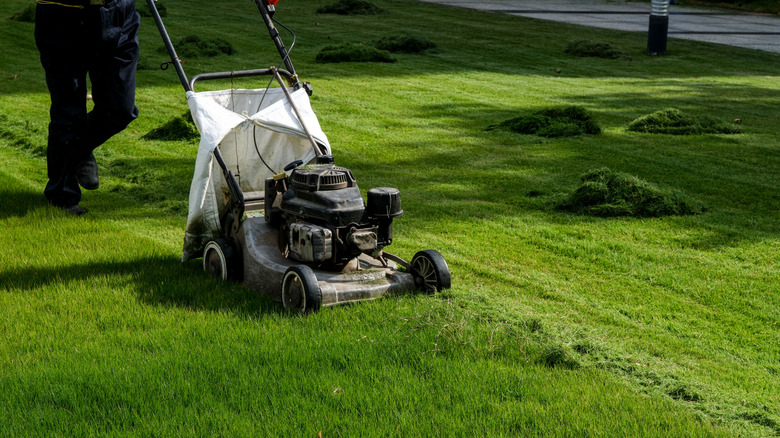 Person mowing lawn