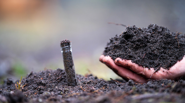 Hand holding soil, filling a soil test tube