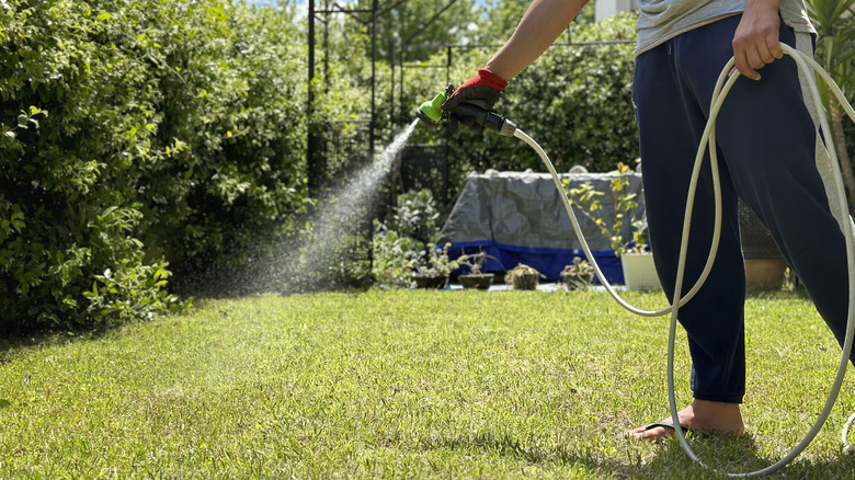 Person watering their sunny lawn