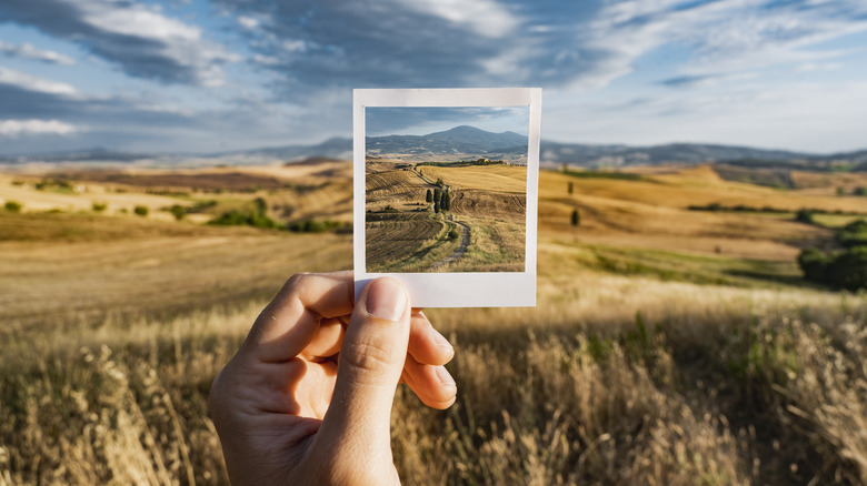 Hand holding a polaroid of outdoor scenery