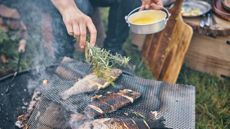 Grilling fish and herbs on campfire