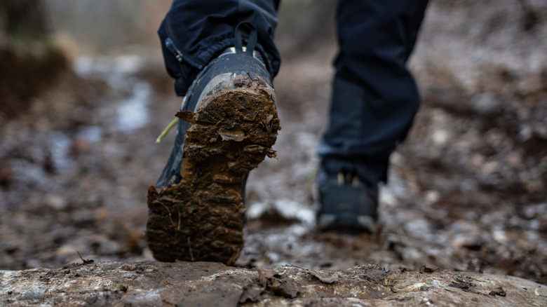 Closeup of muddy boots in a hiking trail