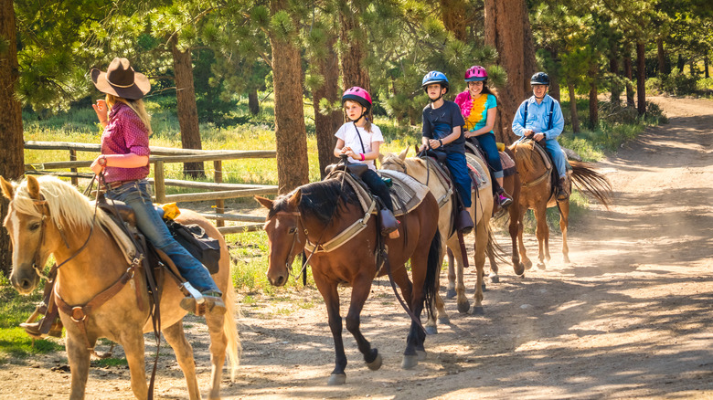 Horse riding group on a trail 