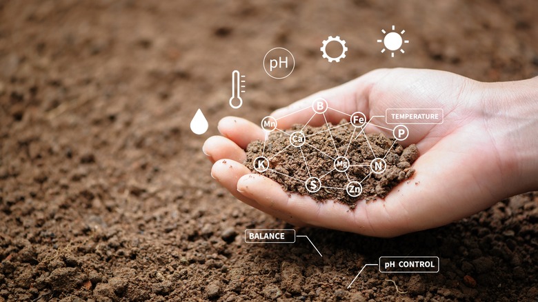Hand in soil with graphics about pH balance
