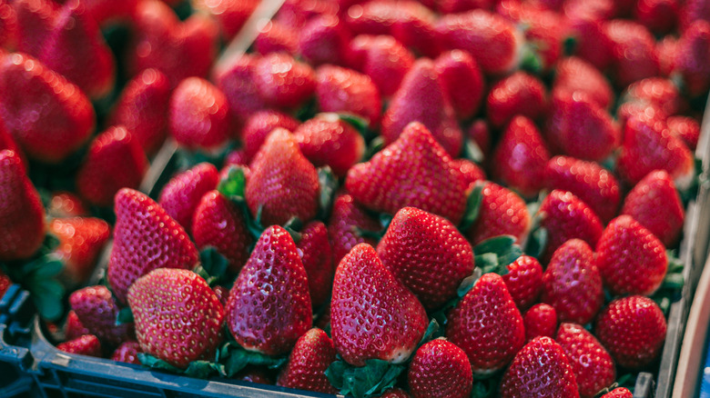 Abundant strawberries