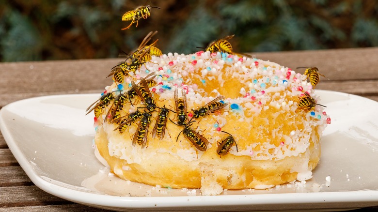 Wasps on a donut