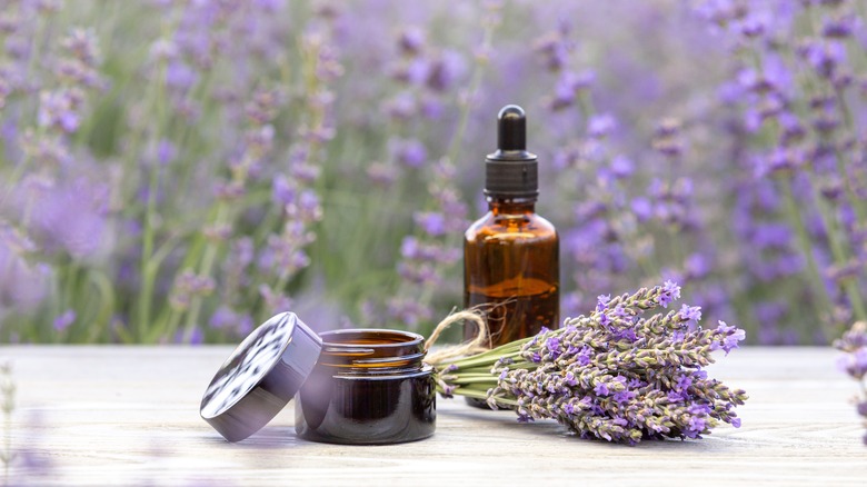 Lavender plant, balm, and essential oil