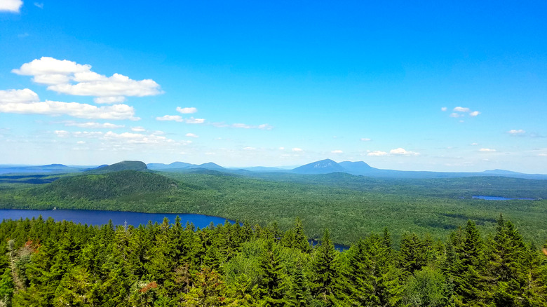 View of Mt. Katahdin and the Maine woods