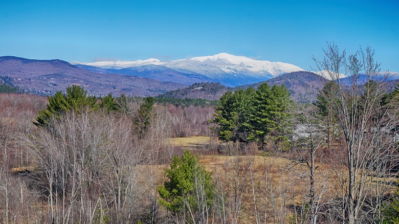 View of Mt. Washington from North Conway