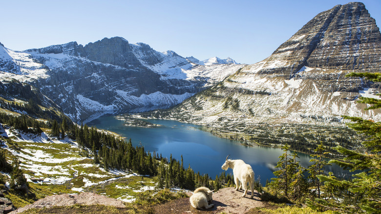 Scenic view of Glacier National Park