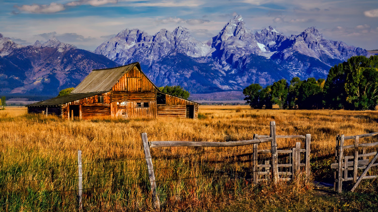 Cabin in field in Grand Teton National Park