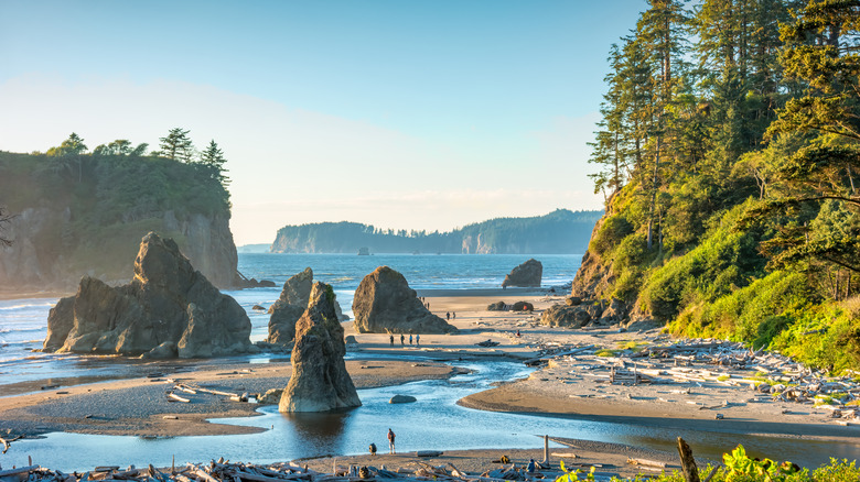 olympic national park