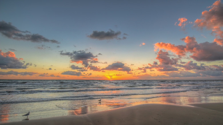 sunrise on south padre island