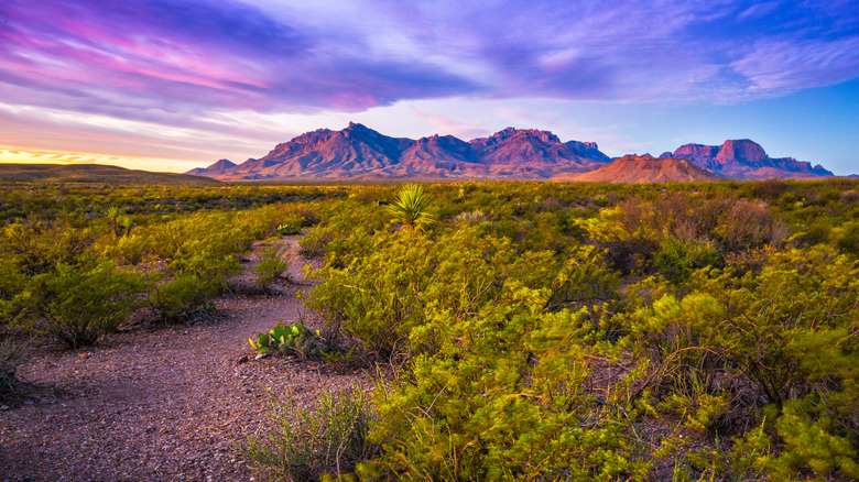 Chisos mountains set against purple and blue sky