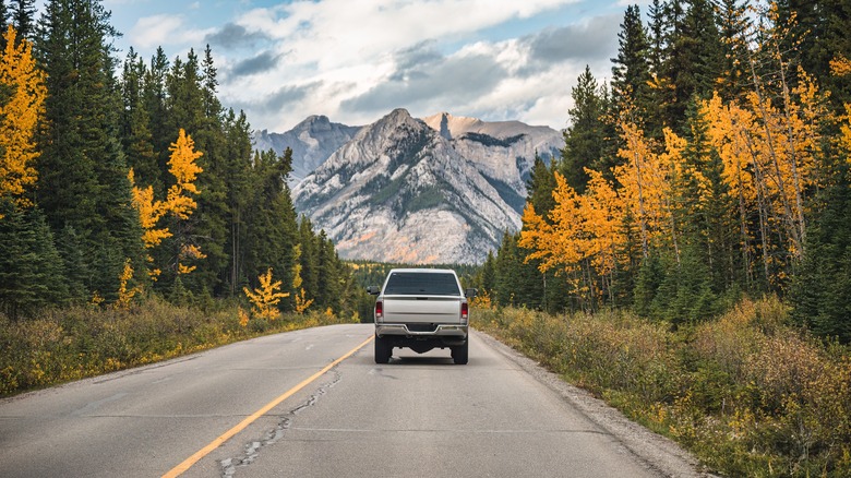 A truck with cover driving towards the Canadian Rockies in Banff National Park with fall trees on the sides of the road