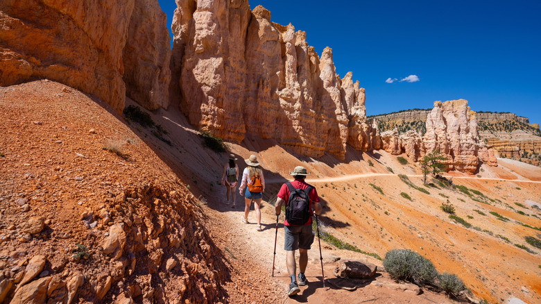 Hikers in Bryce Canyon National Park