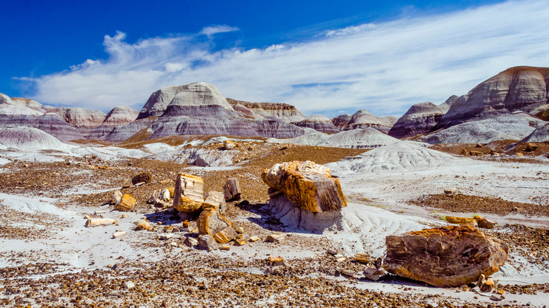 Petrified Forest National Park view