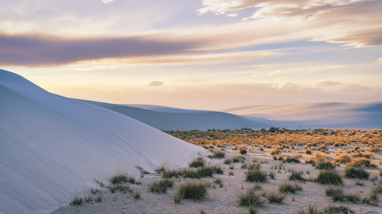 White Sands National Park dunes