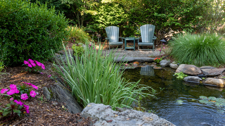 Backyard koi pond 