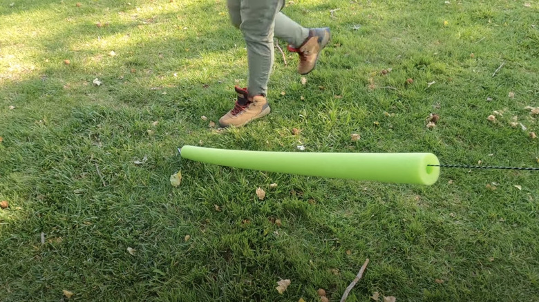 Green pool noodle on a tent line