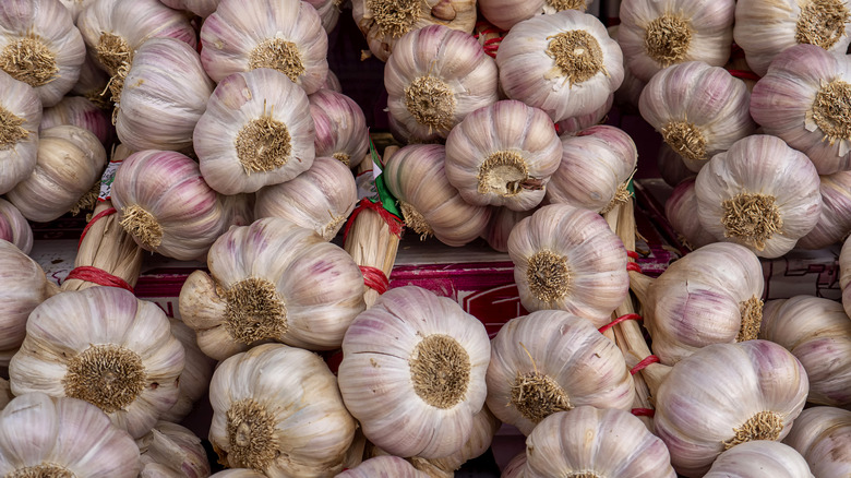 garlic bulbs