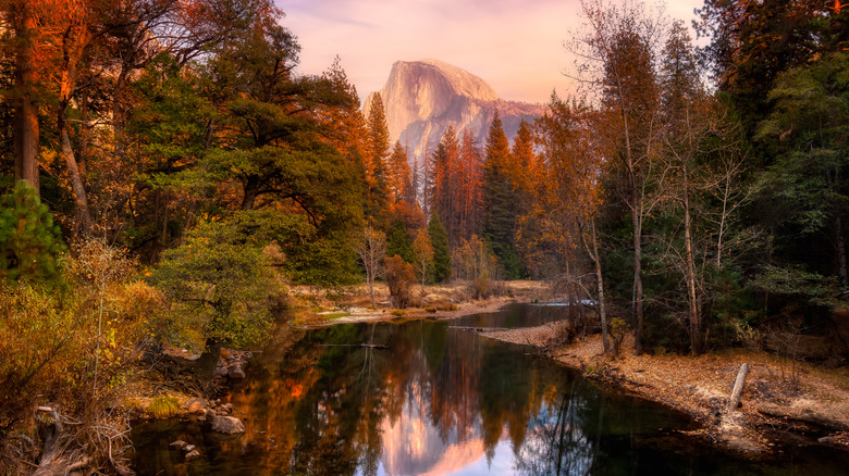 Scenic view of Half Dome Yosemite National Park