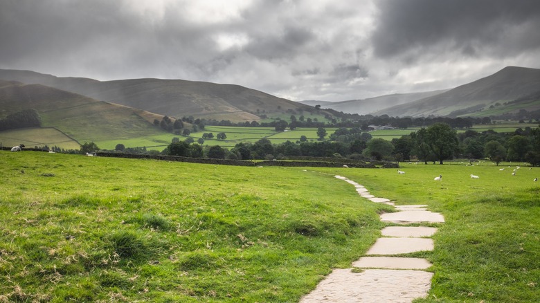 Pathway in England's peak district