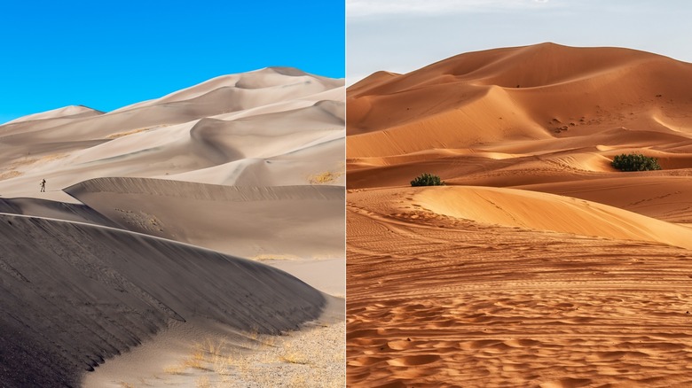 Sanddunes in Great Sand Dunes National Park vs. Sahara Desert