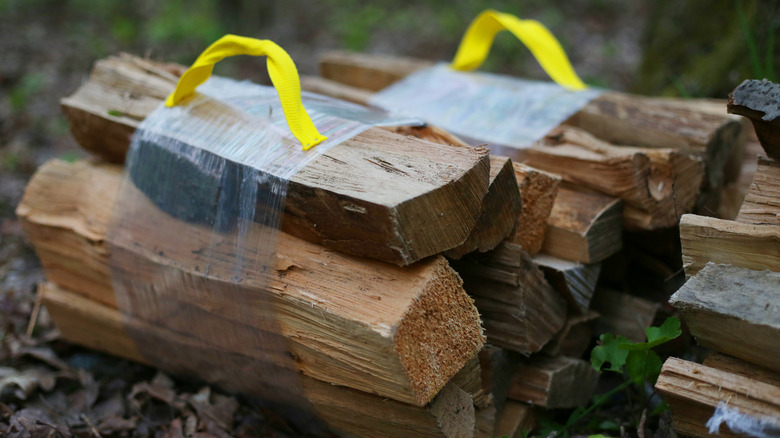 Campsite firewood bundle 