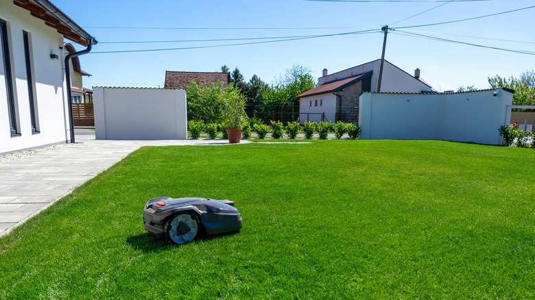 Robot lawn mower on small plot of grass 