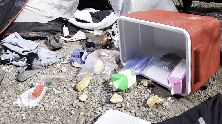 Dirty campsite with trash and food on ground
