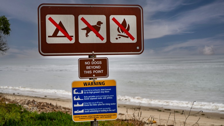 Safety signage on beach