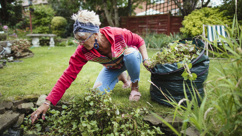 Woman picking weeds from garden