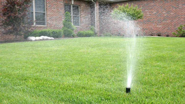 Lawn sprinkler outside house