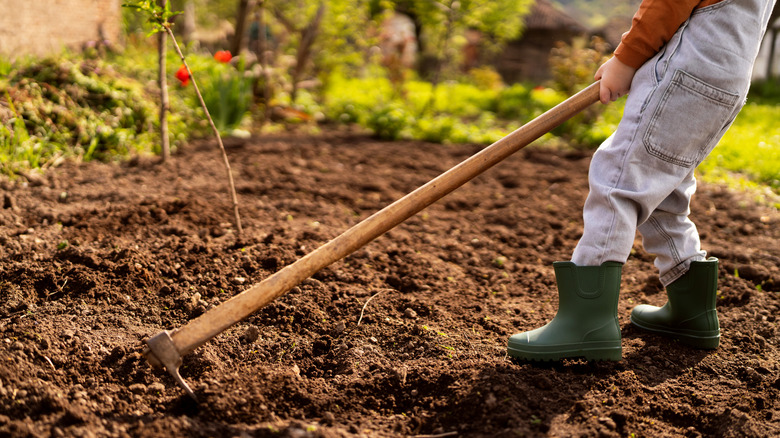 Young boy using garden hoe to make rows 