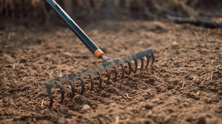 Metal rake on dirt 