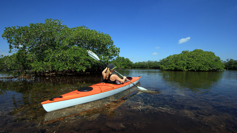 kayaking biscayne bay national park