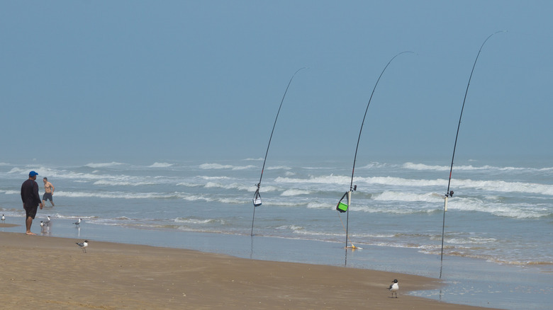 surf fishing padre island