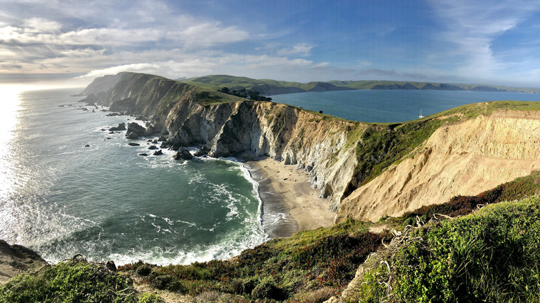 point reyes national seashore