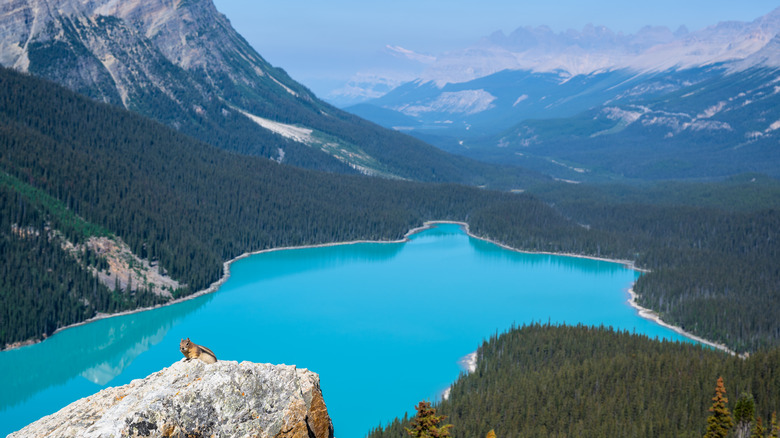 a lake in banff national park